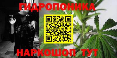 каннабис Гусиноозёрск